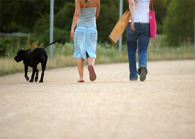 Dog Walking