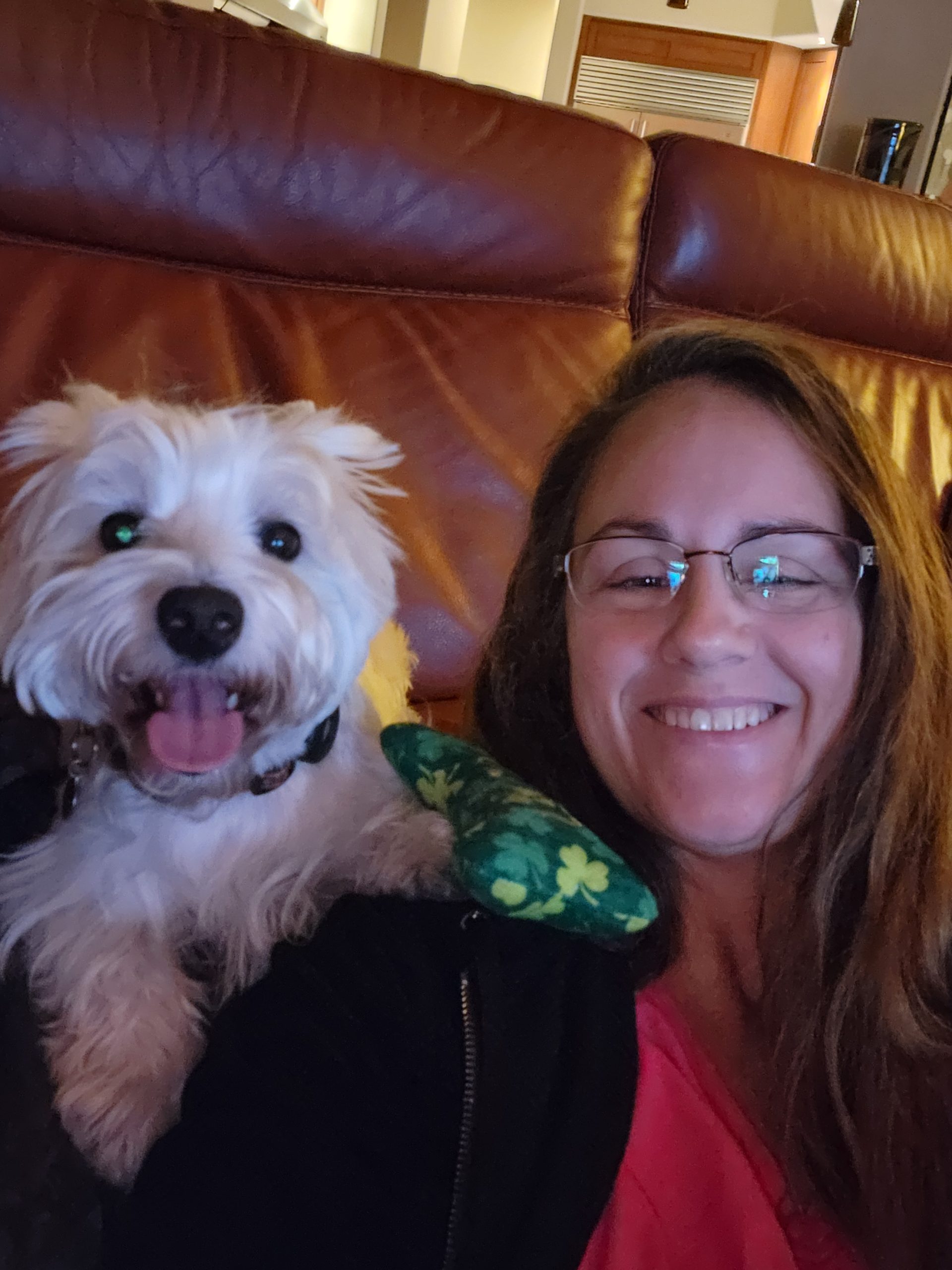 Essential oils for pets